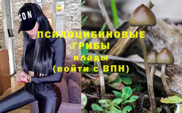MDMA Premium VHQ Козельск